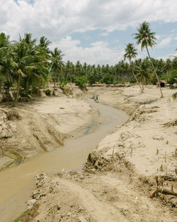 Life after tsunami