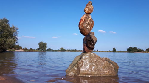 Statue by tree against sky