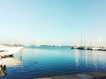 Sailboats in calm sea against blue sky