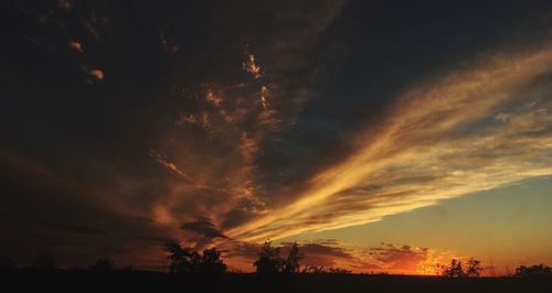 Silhouette trees against dramatic sky during sunset