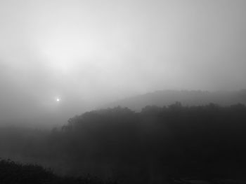 Scenic view of trees against sky during foggy weather