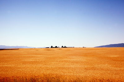 Scenic view of landscape against clear sky