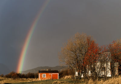 Rainbow over trees against sky