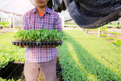 Midsection of farmer holding plants standing in farm