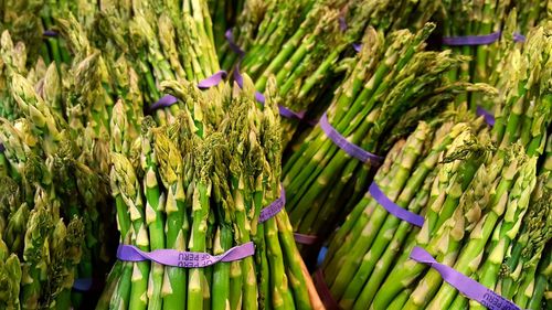 Full frame shot of asparagus for sale at market stall