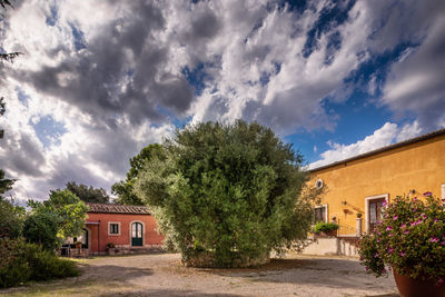 Trees and house against sky