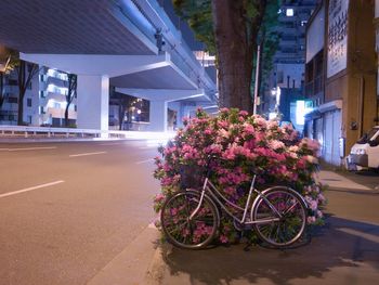 View of purple flowering plants on road by building