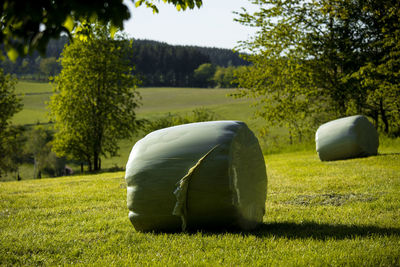 Hay bales on field by trees