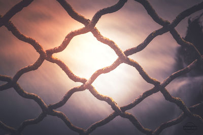 Close-up of chainlink fence