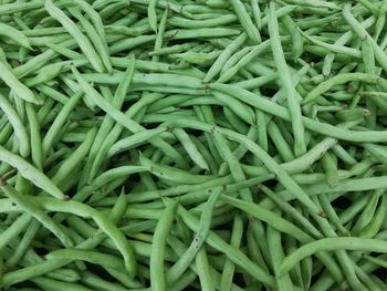 Full frame shot of green beans