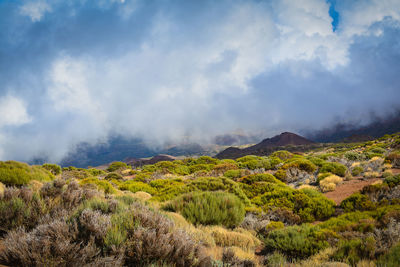 Scenic view of landscape against sky