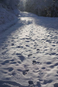 High angle view of footprints on snow covered land