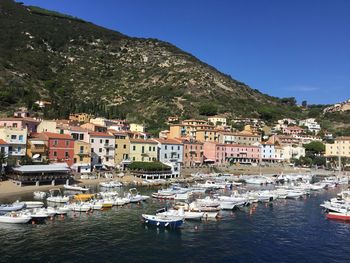 Sailboats moored in harbor by buildings against clear sky