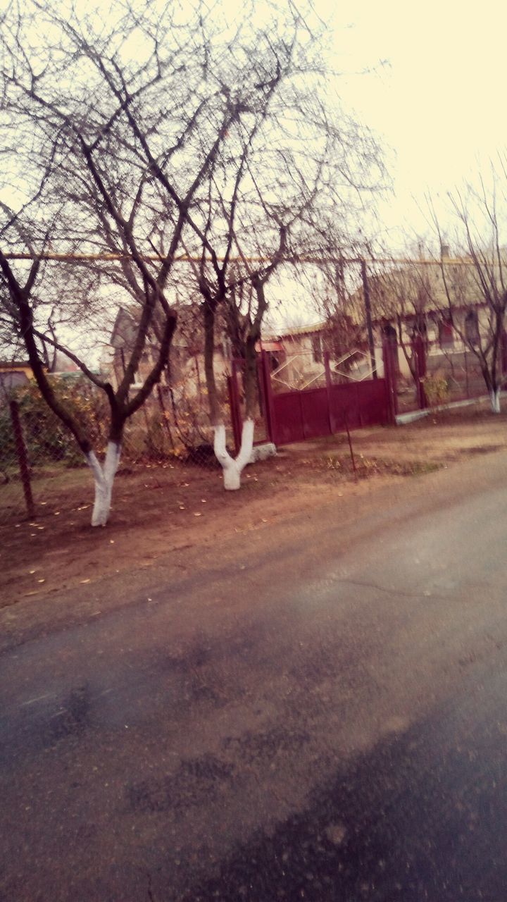 ROAD BY BARE TREES