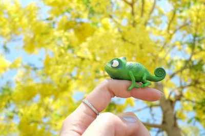 Close-up of hand holding leaf against tree