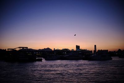 Silhouette birds flying over river in city