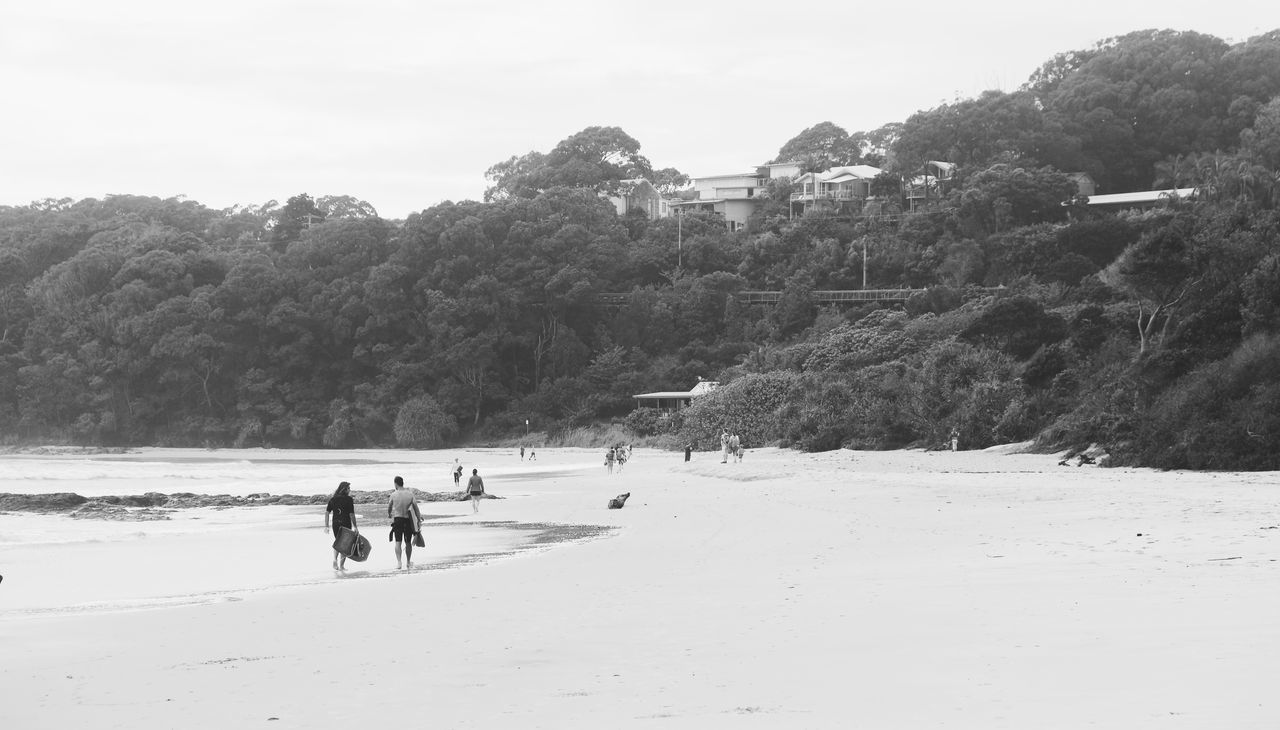 PEOPLE ON BEACH BY TREES AGAINST SKY