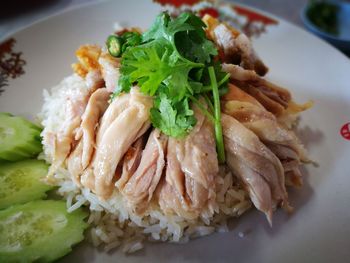 Close-up of meal served in plate