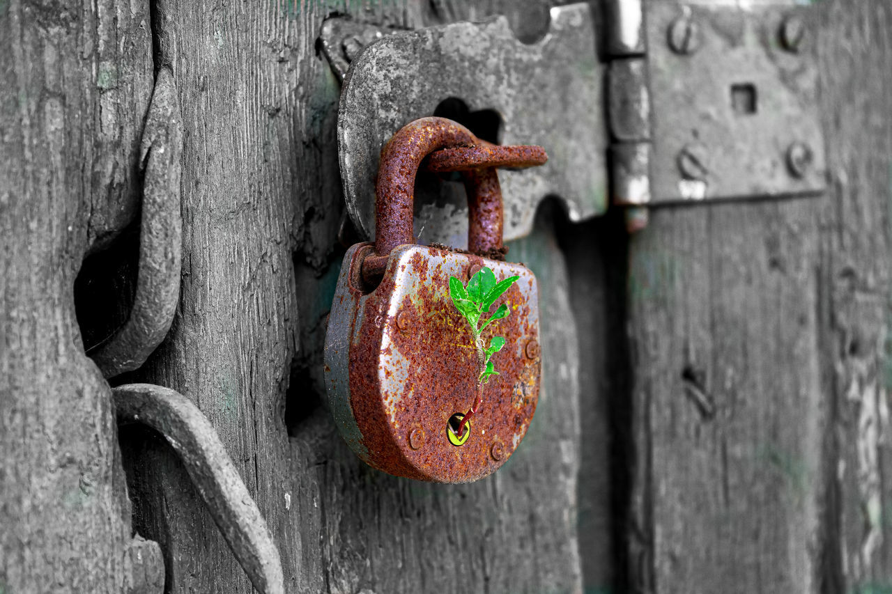 CLOSE-UP OF OLD DOOR