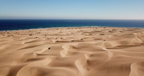 Scenic view of beach against clear sky