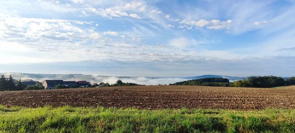 Scenic view of agricultural field against sky