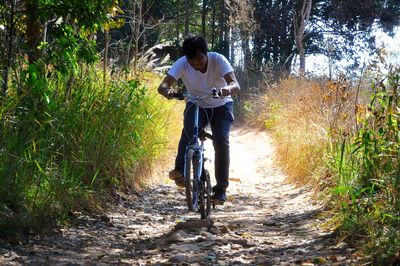 Full length of man riding bicycle on walkway amidst plants