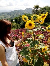 Rear view of woman against sunflower