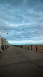 Seagull flying over sea against sky