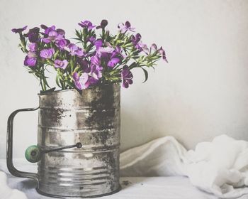 Close-up of flowers in vase