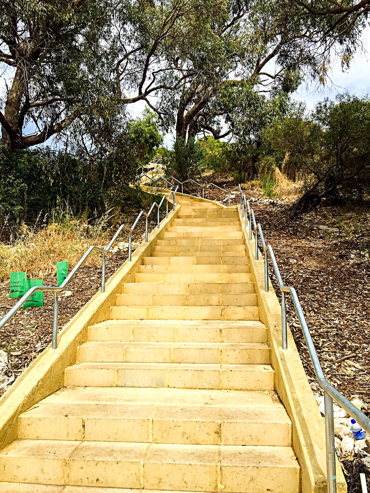 Stairs in nature