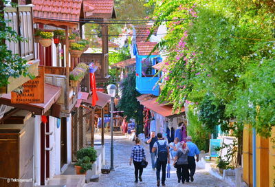 People walking on street amidst trees in city