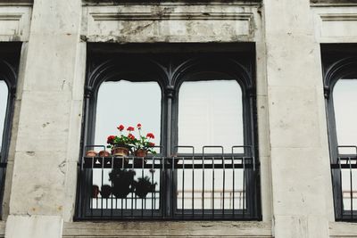 Potted plants on balcony of building