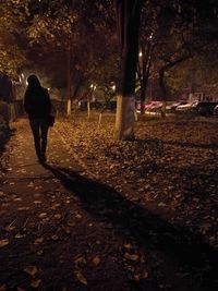 People walking on illuminated tree at night