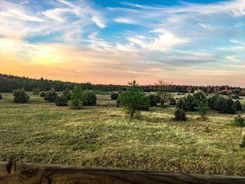 Scenic view of field against sky during sunset