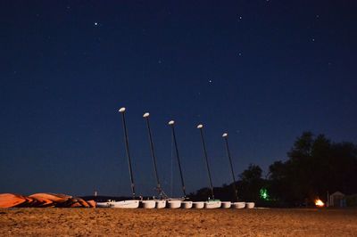 Trees at night