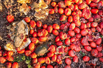 Full frame shot of strawberries