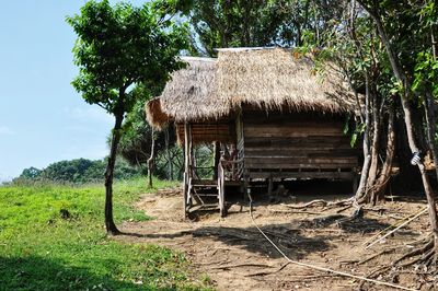 Wooden house on field by trees and plants