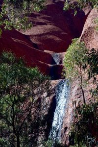 Waterfall in forest