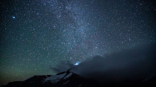 Low angle view of star field against sky at night