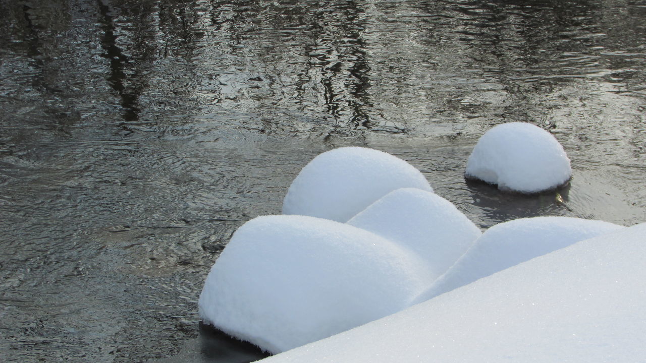 nature, no people, day, outdoors, cold temperature, snow, close-up