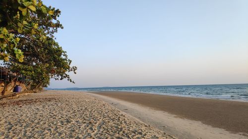 Scenic view of beach against clear sky