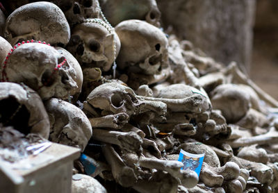 Close-up of human skull