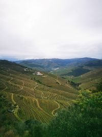 Scenic view of agricultural landscape against sky