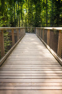 Footbridge on tree