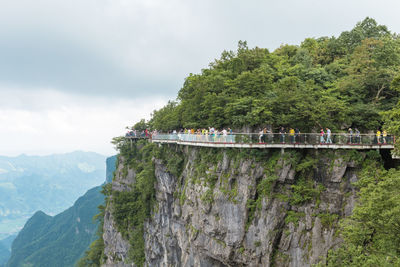 People on bridge by trees against sky