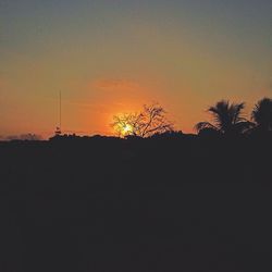 Silhouette trees against sky during sunset