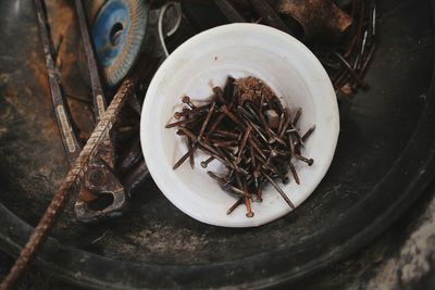 High angle view of insect on plate