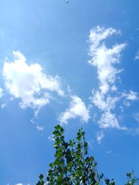 sky
