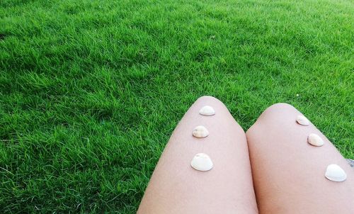 Midsection of woman with seashells on lap in park
