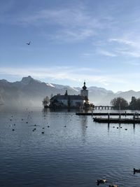 Seagull flying over a lake